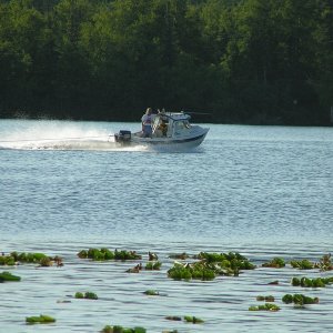 Media '(AK Angler)' in album '(AK Angler)'