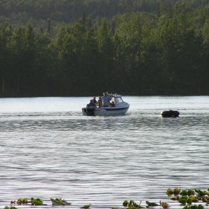 Media '(AK Angler)' in album '(AK Angler)'
