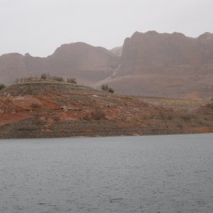 Rain in the desert