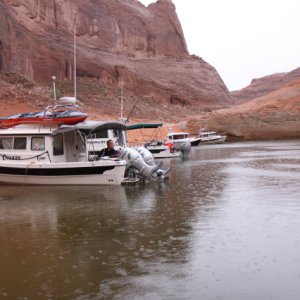 C-Cakes, Discovery, Marinaut and Constant Craving Forgotten Canyon