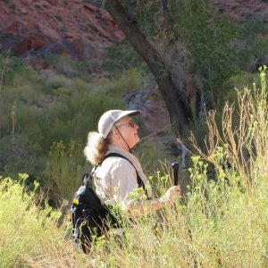 Mrs Wandering Sagebrush...Diana
