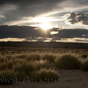 Our last night at Lake Powell.   Nice backlight on the brush.