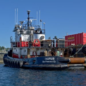 Tugboats in Lake Union