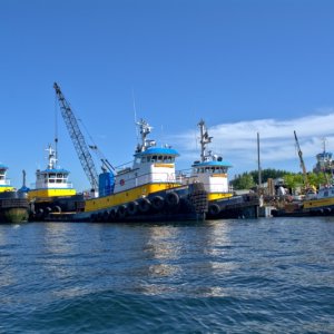 Fleet of tub boats in Fremont