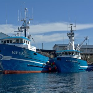 Commercial fleet