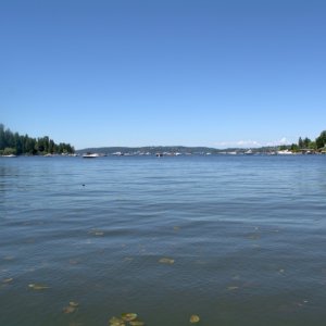 Of course there were at least 50 other boats anchored in Cozy Cove, also just trying to find a calm area to relax in the sun