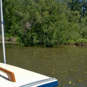 The benefits of a C-Dory. Anchored in 2.5 feet of water in lily pads, while the 50+ other boats are at least 200 yards away in deeper water.