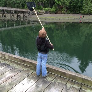 Media 'ben trying to catch something off teh docks' in album 'making our way back to the boat before dark'