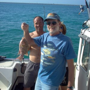 Hogfish, caught at Molasses Key.