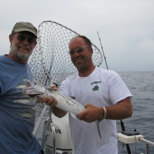King Mackerel