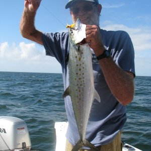 Spanish Mackerel