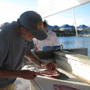 filleting fish
