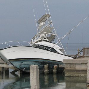South Padre Island, post Hurricane Dolly