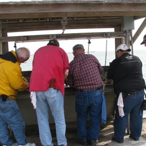 Media 'Cleaning the catch' in album '11/05/08 Utah temp. 17 degrees'