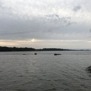 Here\'s another photo of a wing dam that shows one a little more clearly. This is just outside the Hannibal Marina entrance
