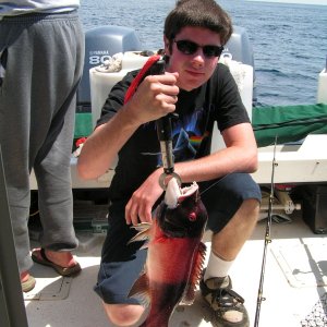 Miles (Dora~Jean) with a sheephead.
