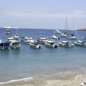 Media 'C-Brats on the String line--nice boats!' in album 'Catalina 2007 - Ok, which way do we go now.
from left- PJ, Sue, John, Robin, Jim, Ron, Kathy, Joel and Scott'