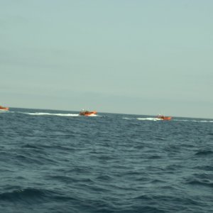 Navy escort away from San Clemente Island