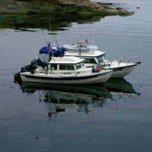 Patos Island 08
