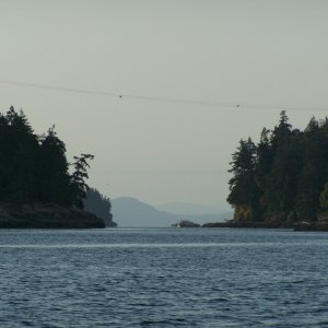Dodd Narrows