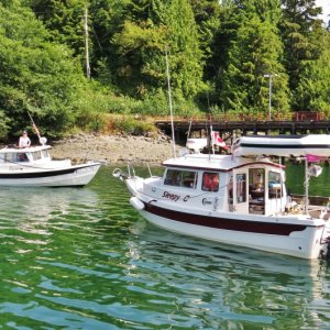 Media 'In Bull Harbor, Hope Island, N Vancouver Island, Met Raven and crew (Randy) for a hike to the west side.' in album '"Enforcement" came in with the Indian canoes.  It's a support boat traveling with the "Tribal Journey -07"'