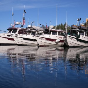 Media '1. C-BRAT Raft-up Desolation' in album '"Enforcement" came in with the Indian canoes.  It's a support boat traveling with the "Tribal Journey -07"'