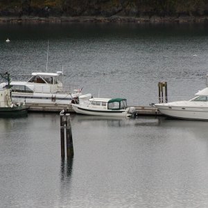 Wy Knot with her big friends at Sucia Island 3/22/04