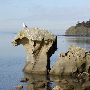 Mushroom Rock, Sucia Island 3/22/04