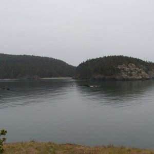 (WadeV) Sharps Cove