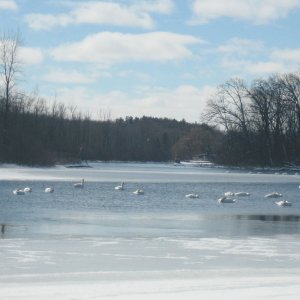 Cross country ski photo of fish/swim hole behind house