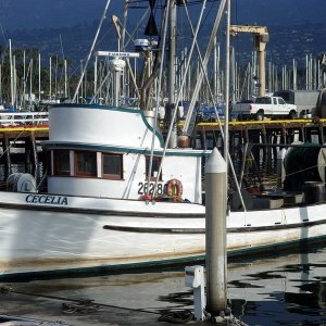 (Islander) Fishing Boat in Santa Barbara