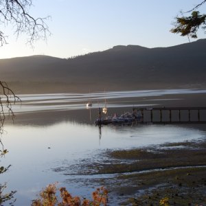dock4