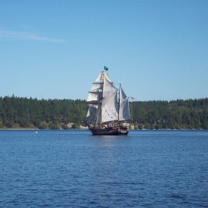 Hawaiian Chieftain