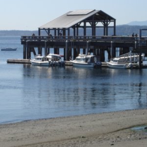 Port Townsend for lunch.
CHESTER, TRAVELER, 
BLUE C & R-MATEY