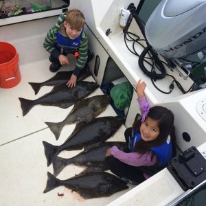 Media 'image' in album 'Dylan\'s first solo coho'