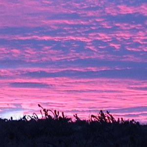 Baja Sunset