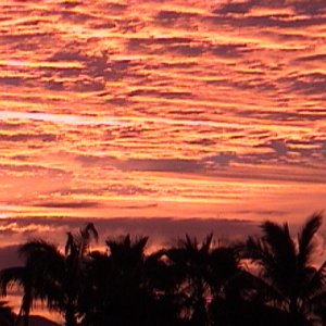 Cabo Sunset