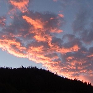 Near Sayward, Vancouver Island