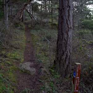Trail to Snoring Bay, to get to Wiggins Point