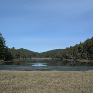 Mud bay on the return walk