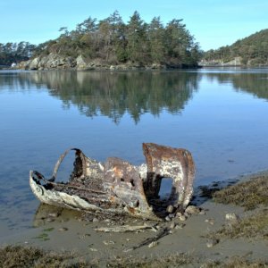 A rusing can in Mud Bay