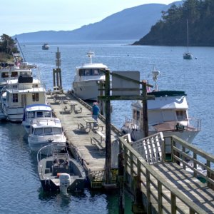 Fossil Bay dock early afternoon on a Saturday, still a couple of spots available.