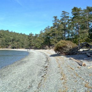 Fox cove beach