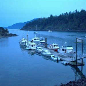 Saturday night at Fossil Bay
