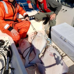 Media 'First Fish on the boat 49,33 and 15' in album 'First Fish on the boat 49,33 and 15'