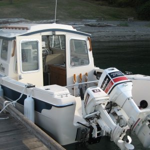 IMG 0551