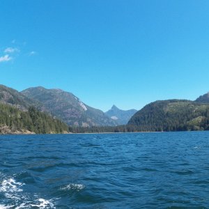Although I launched in Moucha Bay, this is a picture back up towards Gold River.