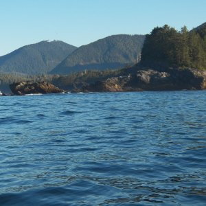 The wind hadn't come up and it was a mild swell, so I decided to go past Yuquot and see if I could circumnavigate Nootka Island south to north before the afternoon winds came up.