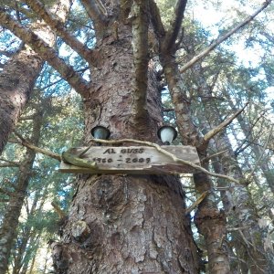 Some even to tree "burials."