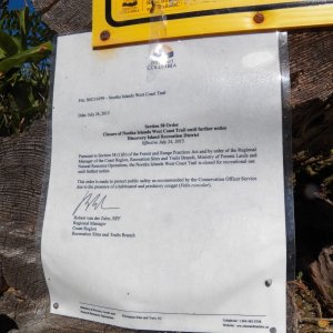I rode my bike out the West Coast trail.  Here's where it ended because of a "habituated and predatory cougar."